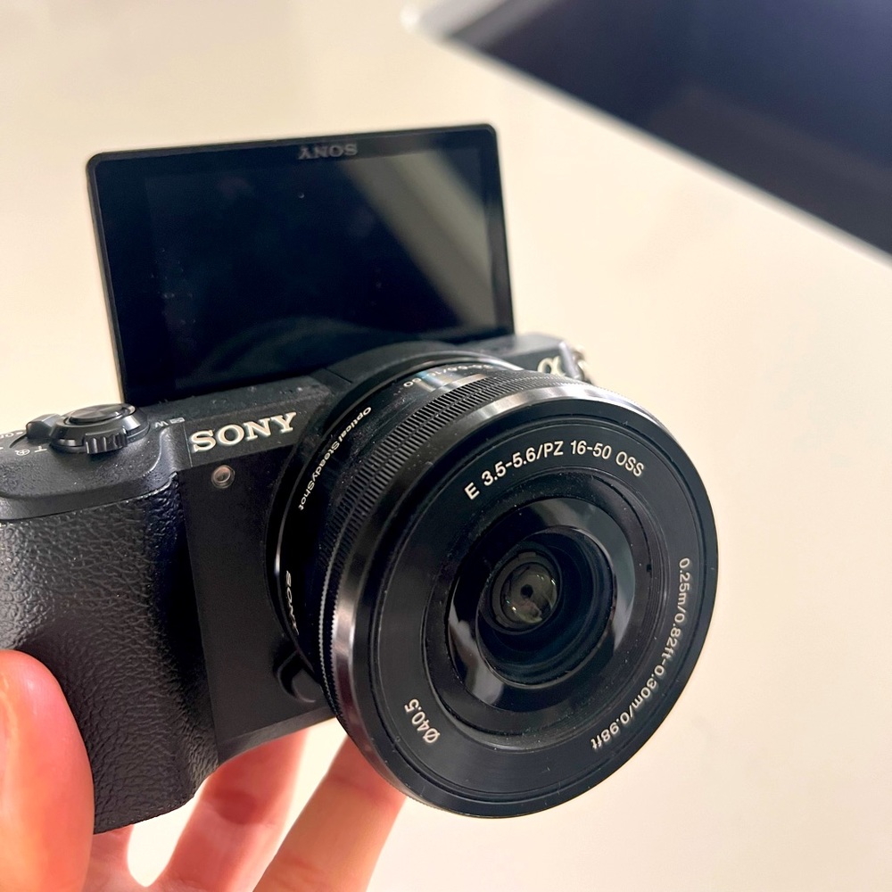 Sony flip screen camera